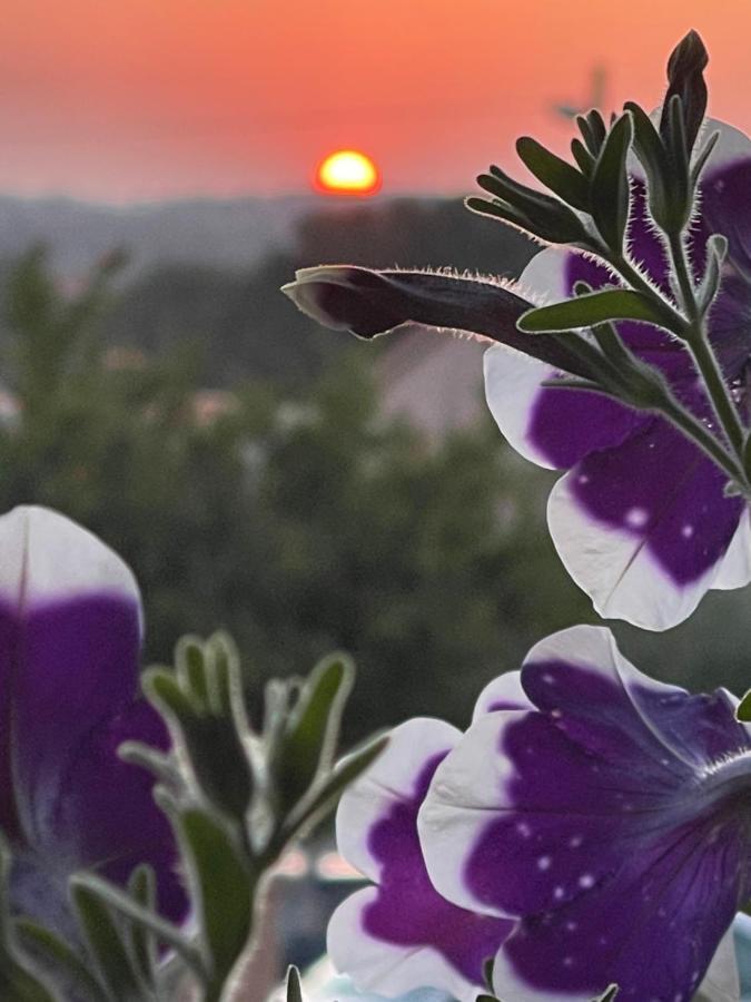 Villa Natalija Medulin Dış mekan fotoğraf